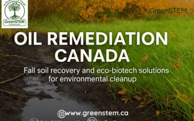 How Eco-Biotech Oil Remediation Is Restoring Canadian Soils This Fall